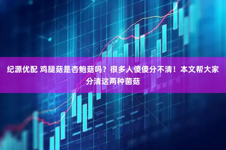 纪源优配 鸡腿菇是杏鲍菇吗？很多人傻傻分不清！本文帮大家分清这两种菌菇