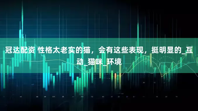 冠达配资 性格太老实的猫，会有这些表现，挺明显的_互动_猫咪_环境