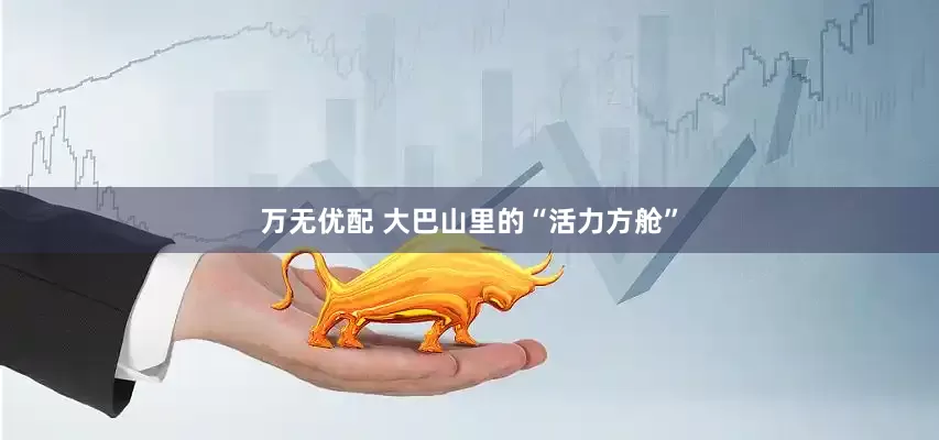 万无优配 大巴山里的“活力方舱”