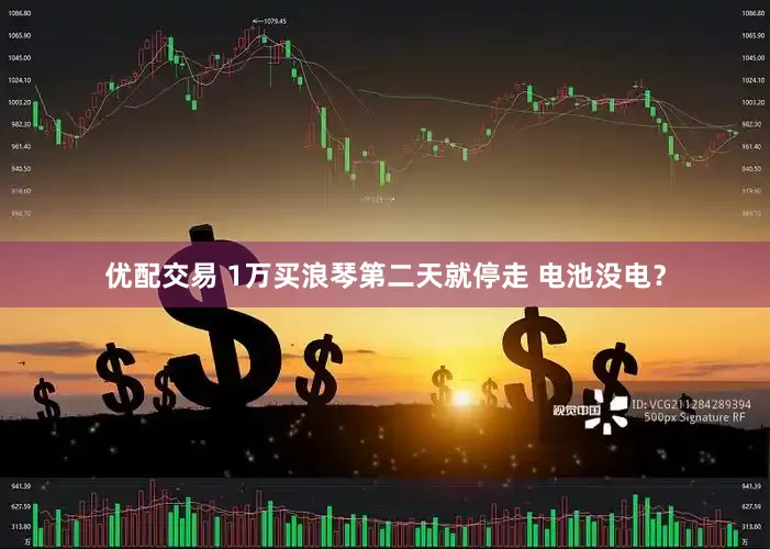 优配交易 1万买浪琴第二天就停走 电池没电？