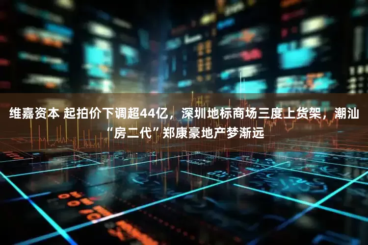 维嘉资本 起拍价下调超44亿，深圳地标商场三度上货架，潮汕“房二代”郑康豪地产梦渐远