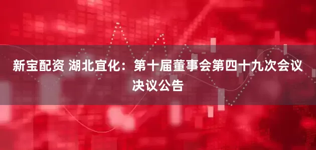 新宝配资 湖北宜化：第十届董事会第四十九次会议决议公告